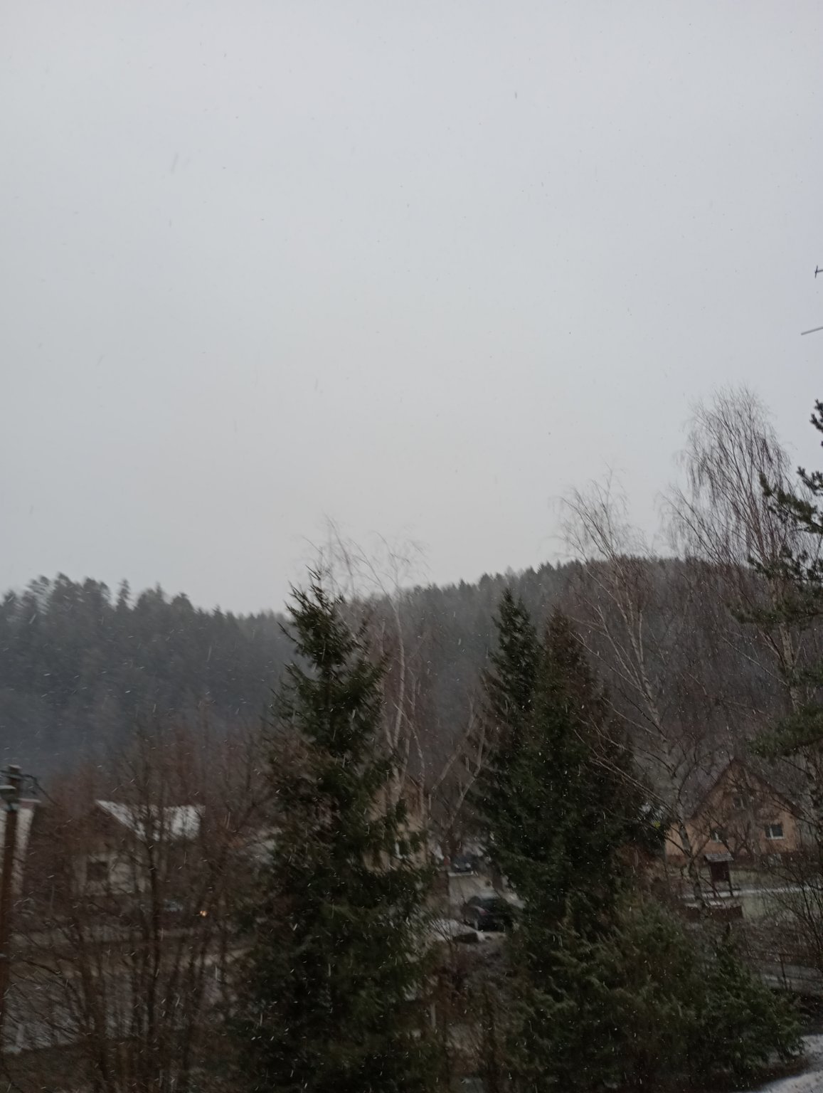 Hvozdnica