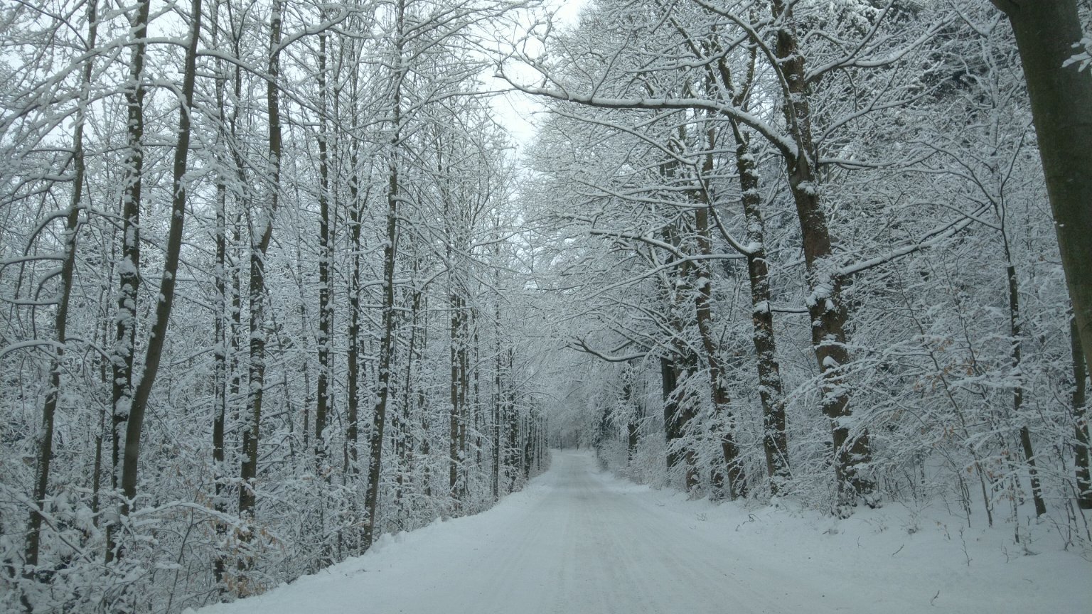 Rybniště