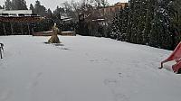 Zábřeh na Moravě 