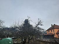 Olešná