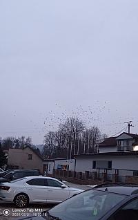 Čadca