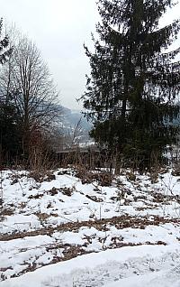 Čadca