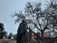 Olešná