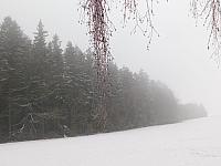 Němčice Zhoř
