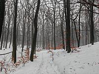 Jirkov