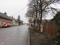 Třibřichy