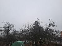 Olešná