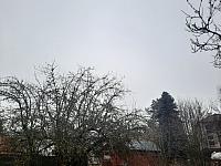 Olešná