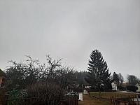 Olešná