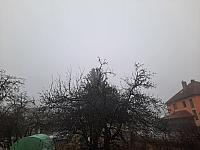 Olešná