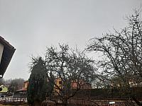 Olešná
