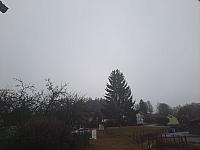 Olešná