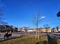 Český Těšín