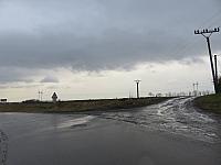Třibřichy