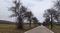Lukovany