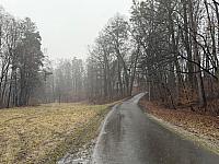 Bystřice