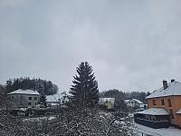 Olešná