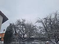 Olešná