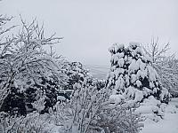 Kopřivnice, Vlčovice