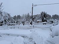 Český Těšín