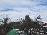 Olešná