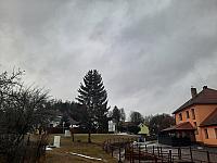 Olešná
