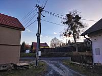 Fotografie
