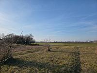 Odrovice