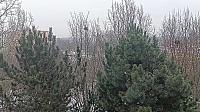 Olomouc-Lazce