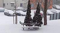 Třebíč-Borovina