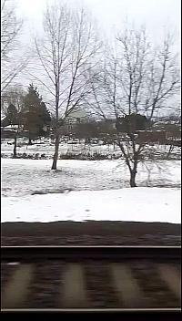 Grygov