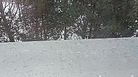 Olomouc-Lazce