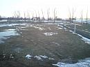 Borkovice