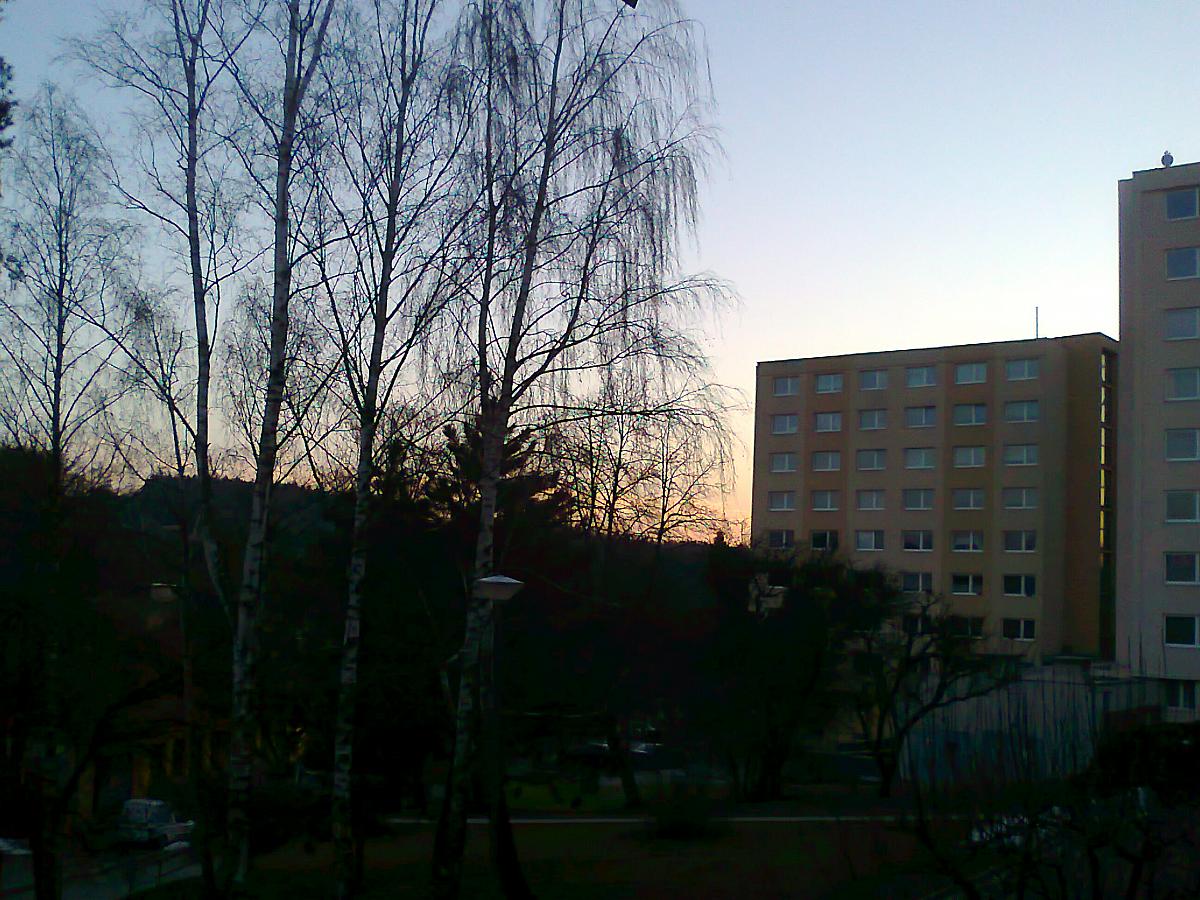 Borovina