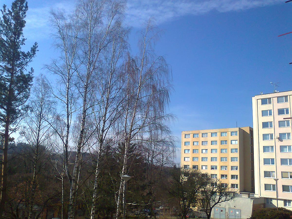 Borovina
