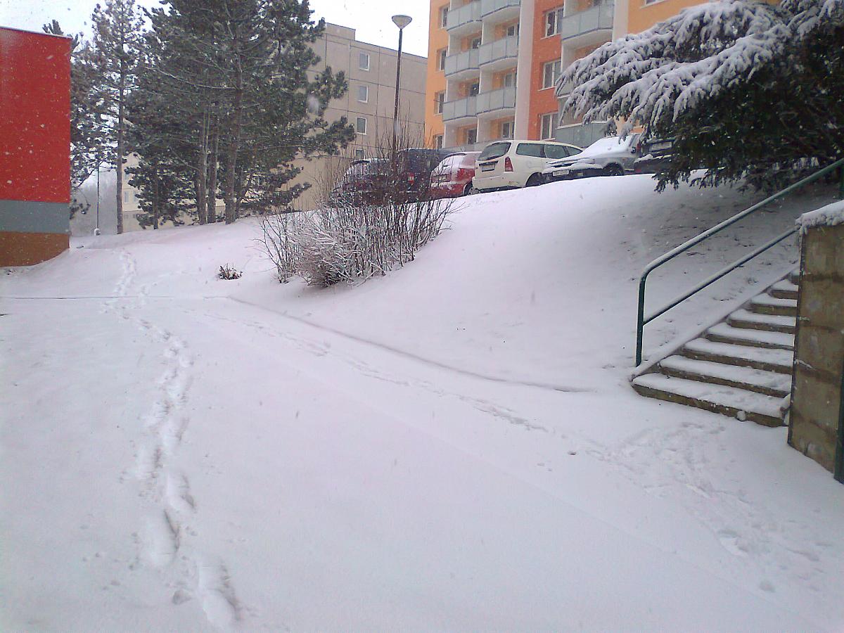 Borovina