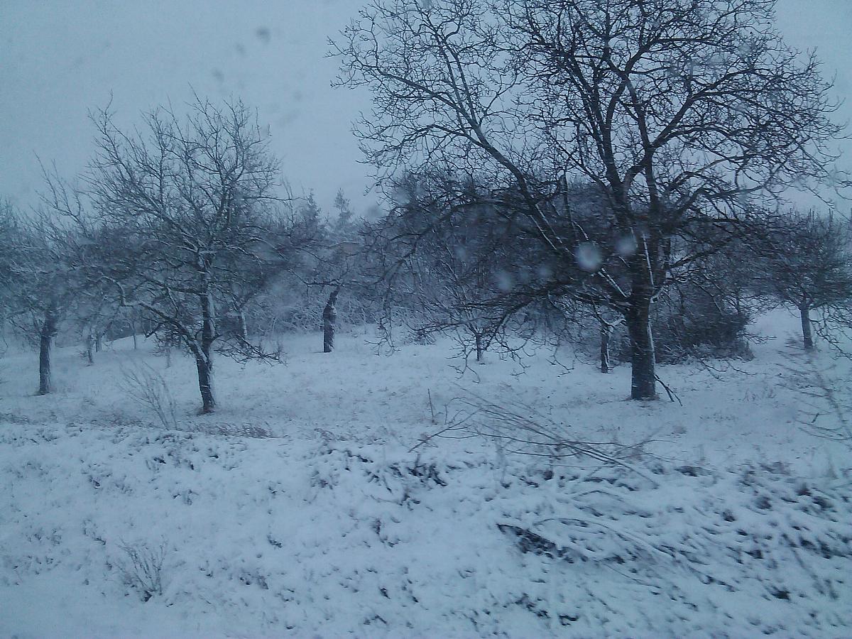 Hustopeče