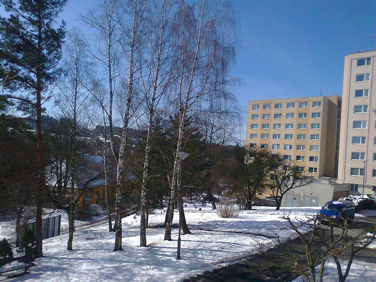 Borovina
