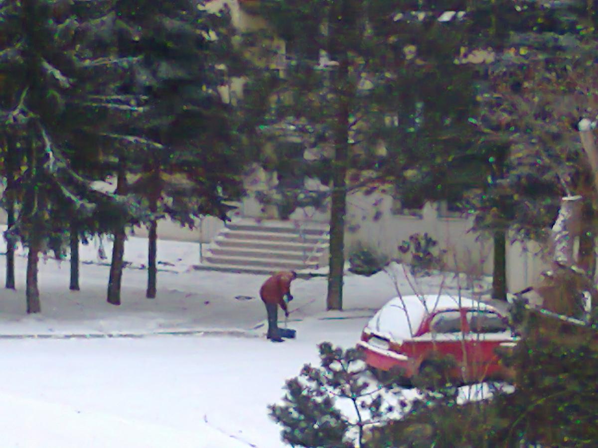 Borovina
