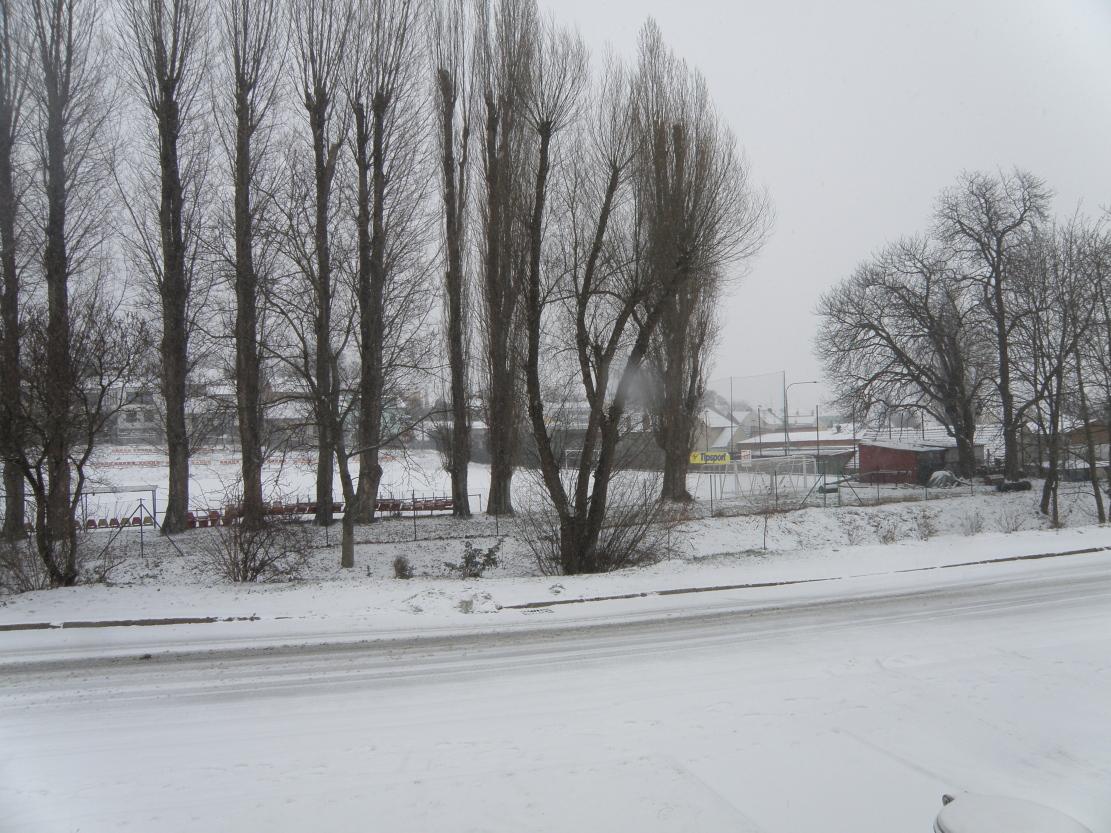 Brno Bosonohy
