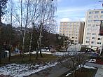 Borovina