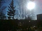 Borovina