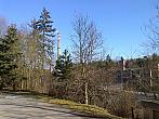 Borovina