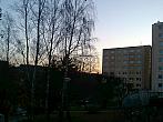 Borovina