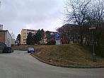 Borovina