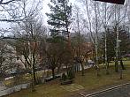 Borovina