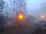 Borovina