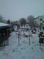 Hořice - Libonice
