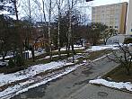 Borovina