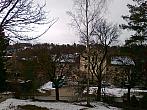 Borovina